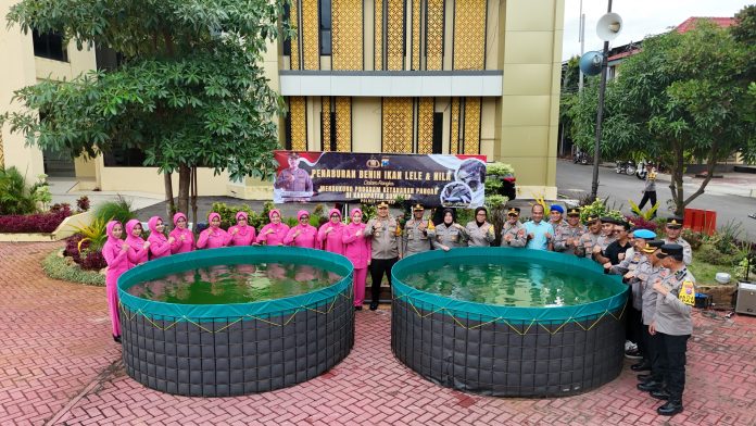 WhatsApp Image 2025-01-30 at 11.10.00