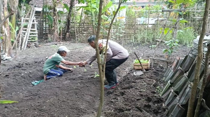 WhatsApp Image 2025-02-10 at 10.39.59