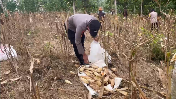 AF22684A-16BB-439F-8286-8AB7297B69F8