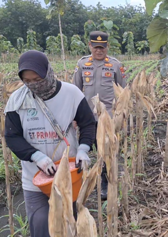 Screenshot_20250313_051012_Gallery