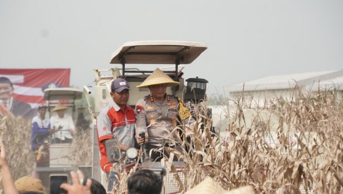 WhatsApp Image 2025-03-26 at 15.02.12