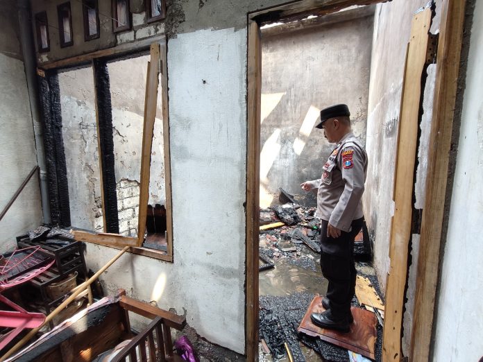 WhatsApp Image 2025-05-01 at 13.46.00