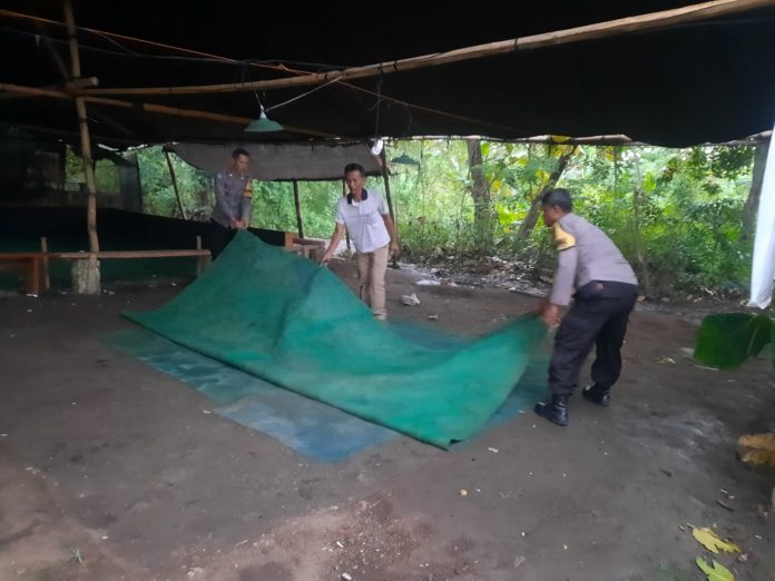 WhatsApp Image 2025-05-05 at 12.11.39