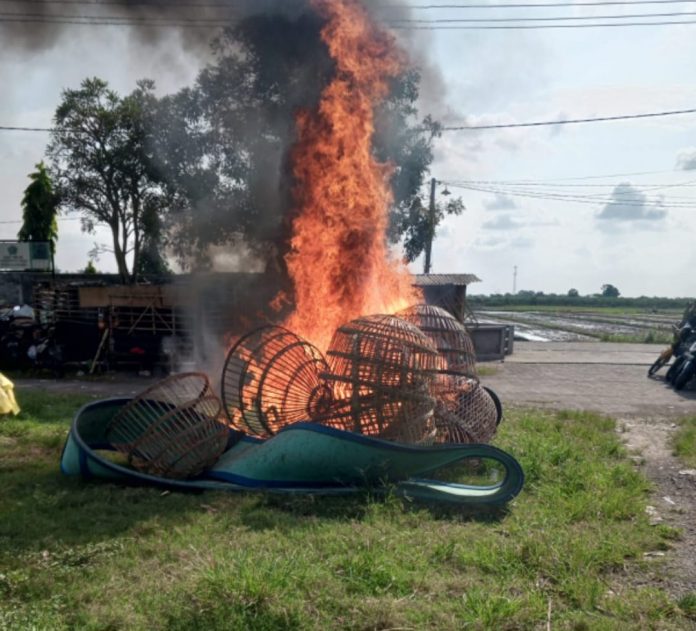 WhatsApp Image 2025-05-20 at 08.10.38