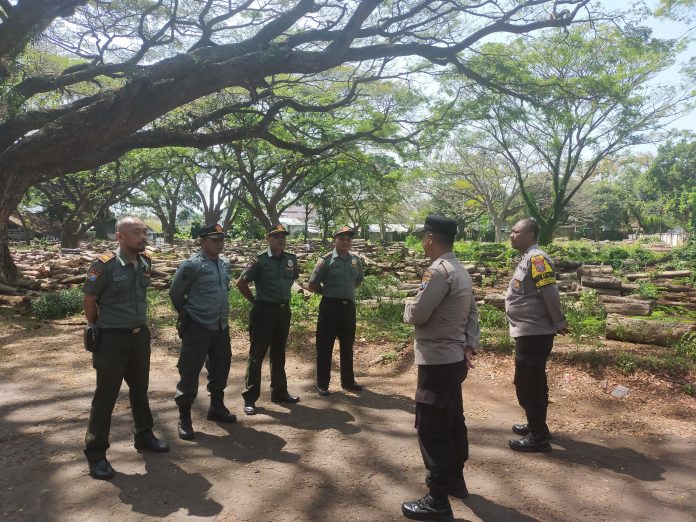 WhatsApp Image 2025-08-05 at 10.31.26 (2)