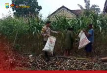 Guna Dukung Ketahanan Pangan Bhabinkamtibmas Kunjungi Perkarangan Warga Desa