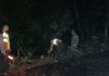 Anggota Polsek Senori Polres Tuban Polda Jatim Evakuasi Pohon Tumbang Di Jalan Desa Jatisari
