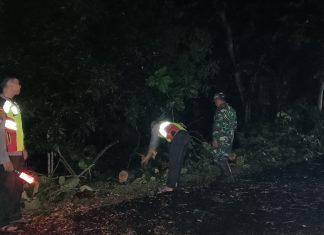 Anggota Polsek Senori Polres Tuban Polda Jatim Evakuasi Pohon Tumbang Di Jalan Desa Jatisari