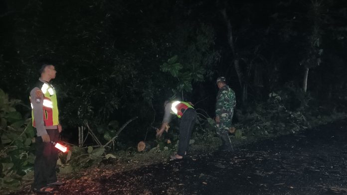 IMG_20251029_080314_928