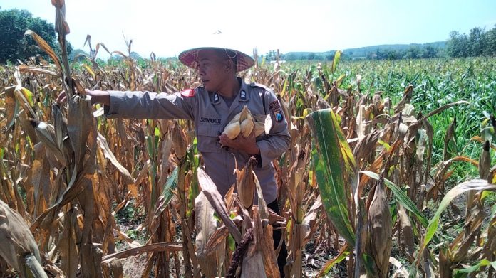 WhatsApp Image 2025-10-30 at 09.48.11