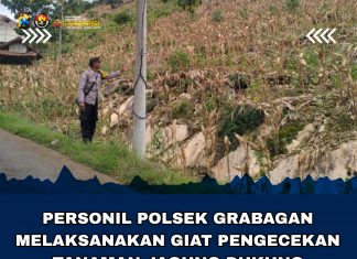 Guna Dukung Ketahanan Pangan Bhabinkamtibmas Kunjungi Perkarangan Warga Desa