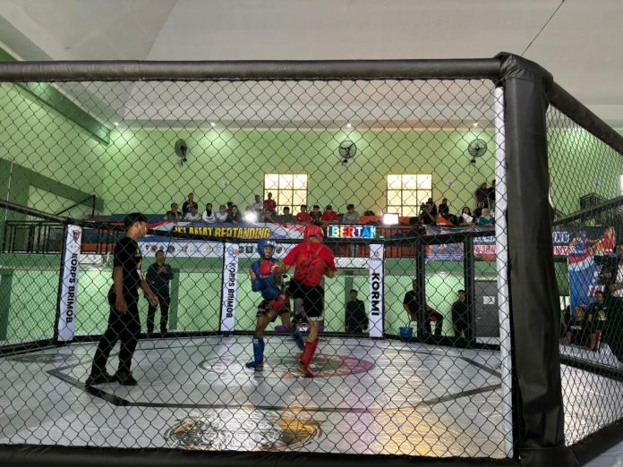 WhatsApp Image 2025-11-03 at 12.35.57