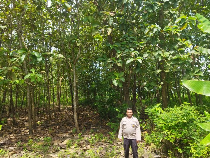 WhatsApp Image 2025-11-05 at 10.28.54