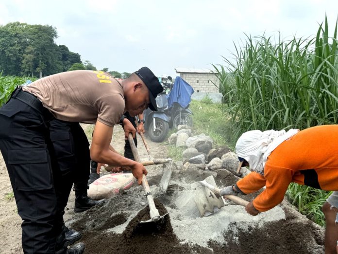 WhatsApp Image 2025-11-06 at 10.51.34