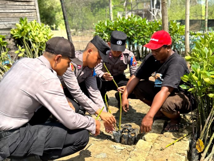 WhatsApp Image 2025-11-10 at 08.09.37