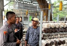 ‘Live In’ : Siswa Diktukba SPN Polda Jatim Edukasi Budidaya Bandeng dan Jamur di Gresik