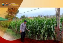 Guna Dukung Ketahanan Pangan Bhabinkamtibmas Kunjungi Perkarangan Warga Desa