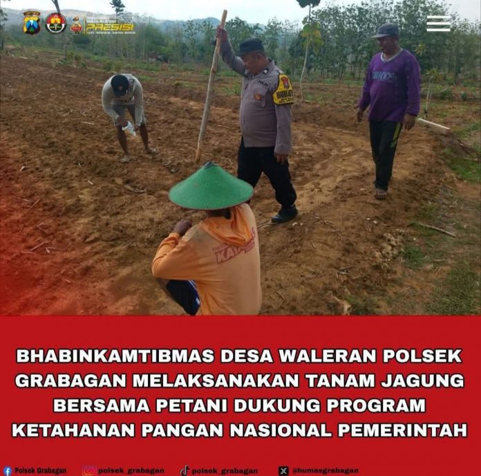 FB_IMG_1765608977177