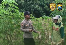 Guna Dukung Ketahanan Pangan Bhabinkamtibmas Kunjungi Perkarangan Warga Desa