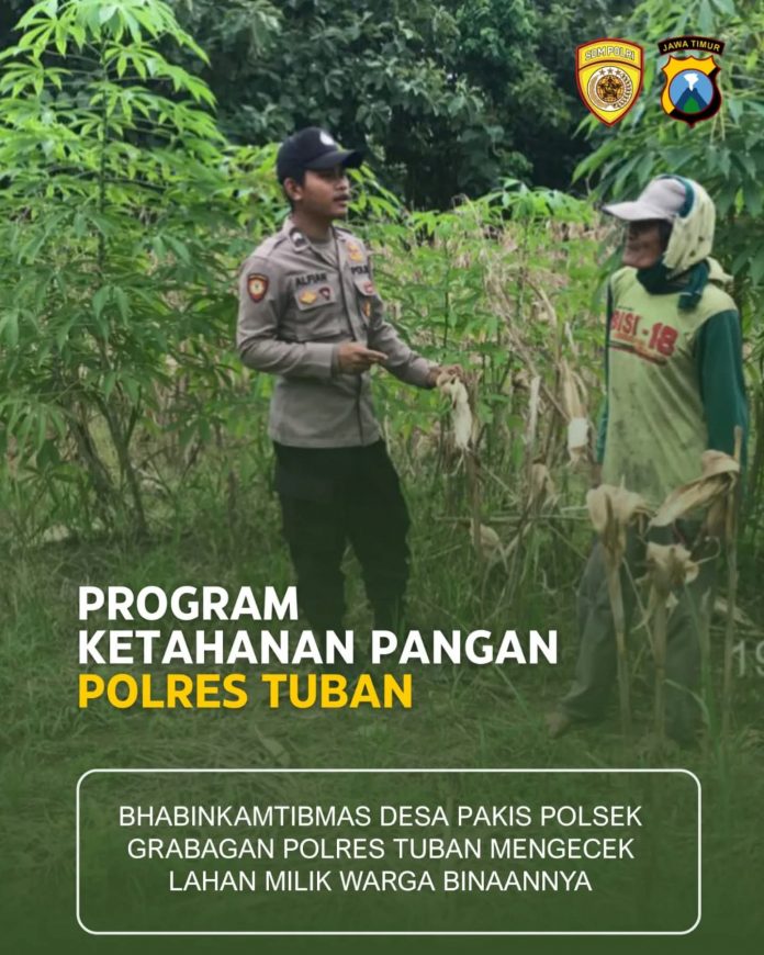 FB_IMG_1765692647619