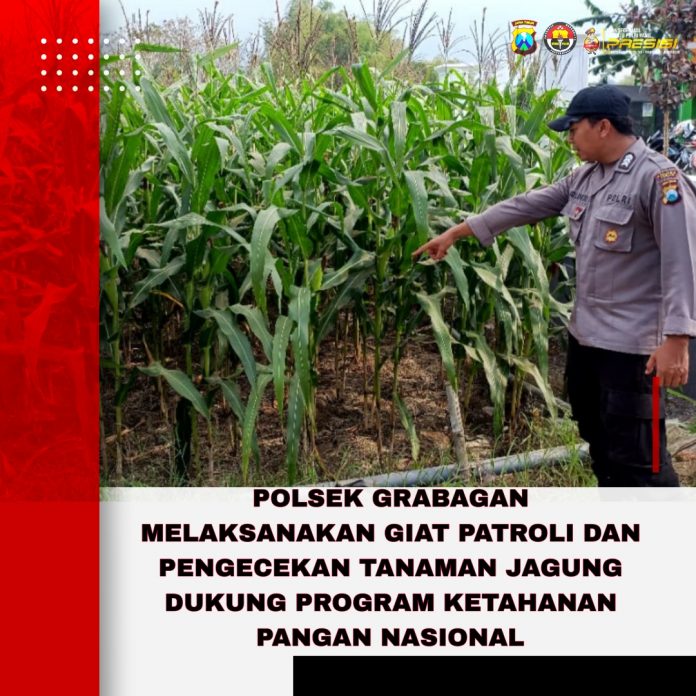 Picsart_26-02-05_13-50-13-732