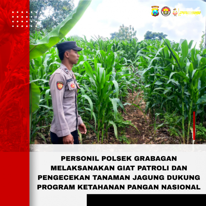 Picsart_26-03-11_11-14-16-134