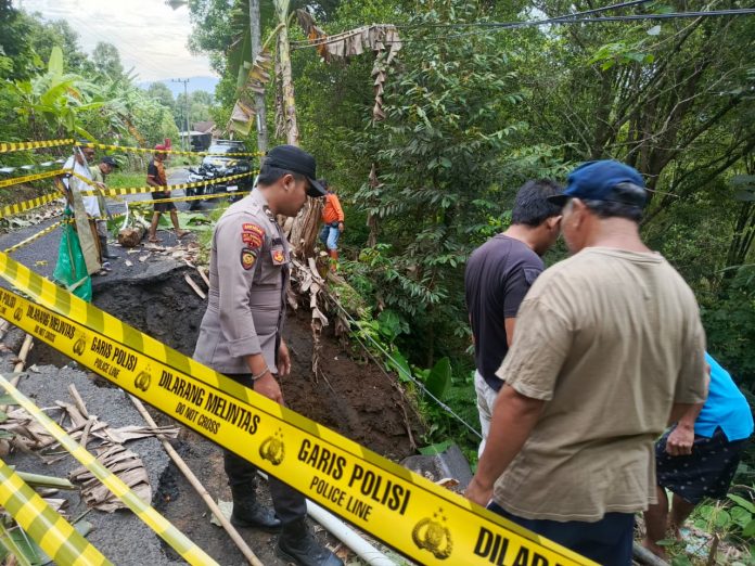 WhatsApp Image 2026-03-03 at 10.20.10 (1)