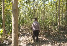 Patroli Karhutla, Polsek Kenduruan Polres Tuban Jaga Kawasan Hutan Tetap Kondusif