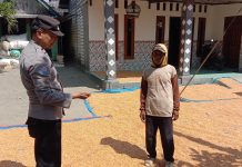 Polsek Grabagan polres Tuban Polda Jawa Timur Dukung Penuh Swasembada Pangan Presiden Prabowo Melalui Pendampingan Petani