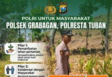 *Polsek Grabagan Polresta Tuban Turun Langsung Cek Tanaman Jagung Warga*