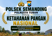 *Polri Dukung Astacita, Polsek Semanding Polresta Tuban Turun Cek Tanaman jagung milik Warga di Desa Ngino*