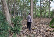 Polsek Kenduruan Polresta Tuban Gelar Patroli Kawasan Hutan, Antisipasi Karhutla dan Gangguan Kamtibmas