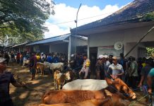 Patroli Dialogis di Pasar Hewan, Bhabinkamtibmas Polsek Jatirogo Ajak Warga Jaga Kamtibmas dan Kesehatan Ternak