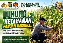 *Polsek Soko Polresta Tuban Turun Langsung Cek Tanaman Jagung Warga*